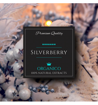 SILVERBERRY 40ML