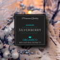 SILVERBERRY 40ML